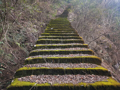 青苔阶梯