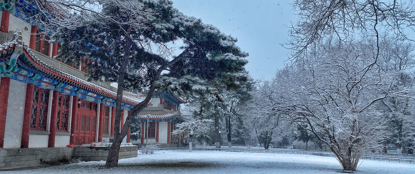 北京大学冬天下雪校园一角