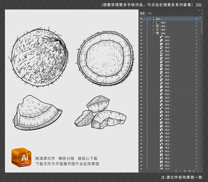 多角度椰子手绘