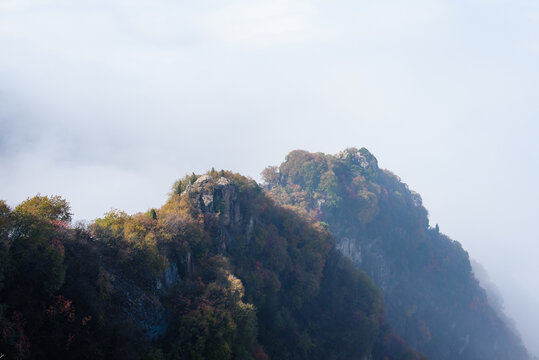 西安嘉午台秋景