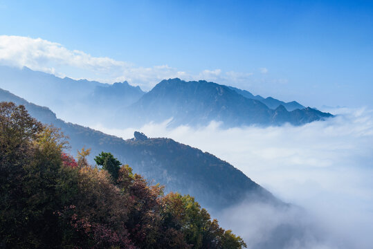 西安嘉午台秋景