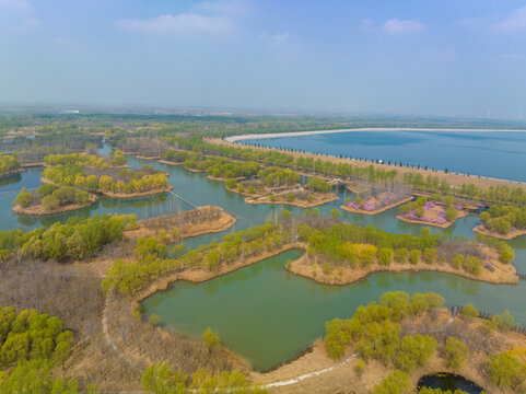 济南济西湿地