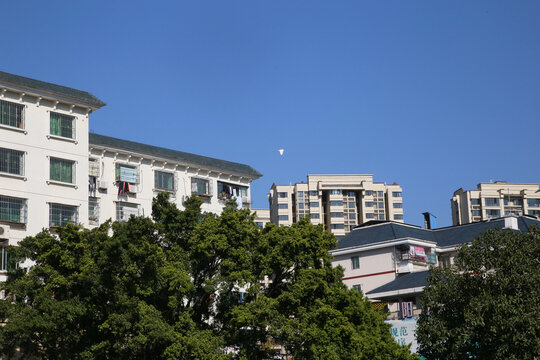 城市建筑