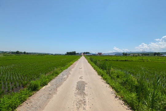 田间路