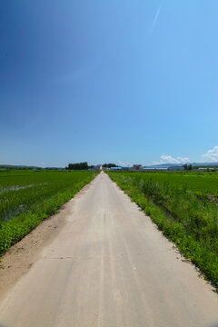 田园风光