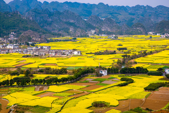 贵州万峰林风光