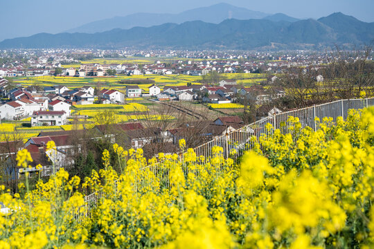 汉中油菜花海美丽乡村高铁动车