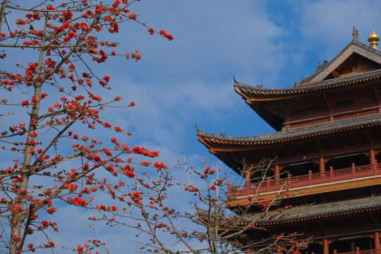 中式传统古建筑屋檐木棉花