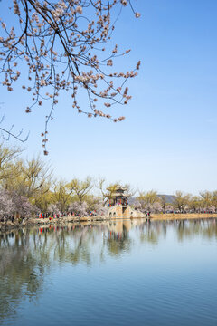 北京颐和园西堤春景