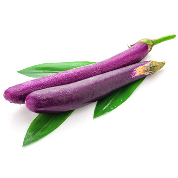 新鲜紫色线茄