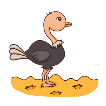 动物鸵鸟手绘卡通元素