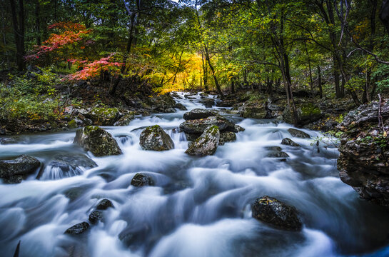 青山绿水