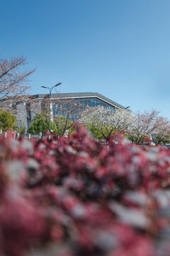 杭州师范大学体育中心