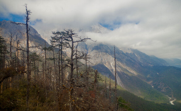 玉龙雪山之山腰间