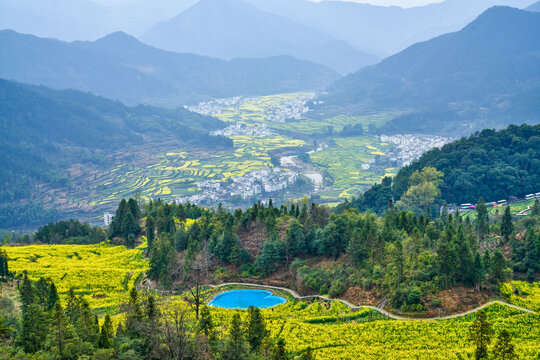 婺源江岭风光