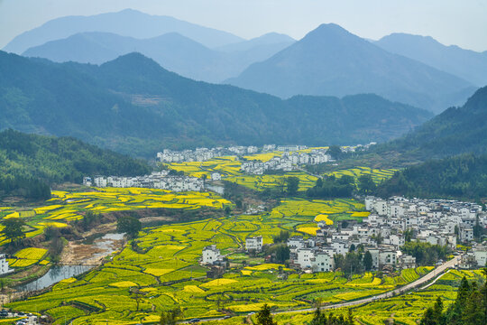 新农村风光