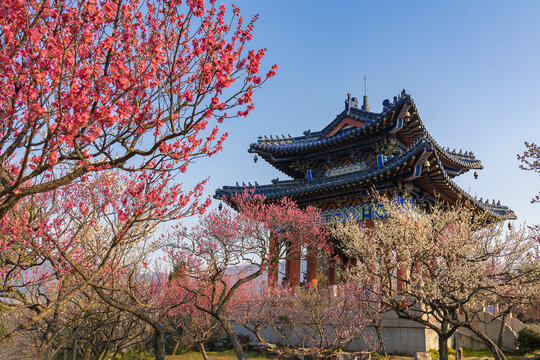 古建筑邂逅春天