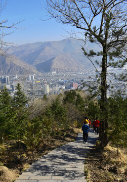 二郎山早春