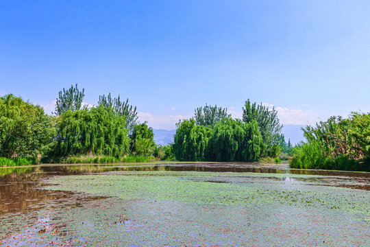 西昌邛海湿地公园