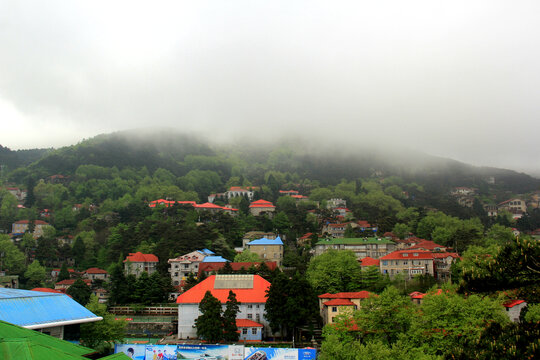 牛牯岭烟雨