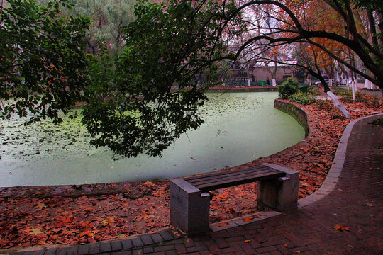 安徽大学校园风景