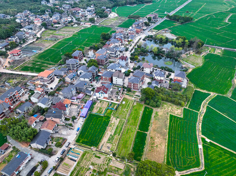 绿色的乡村田野与公路航拍