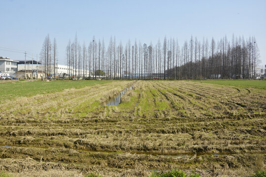 田地