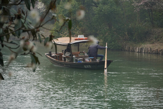 西溪湿地水景