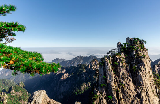 黄山山峰和迎客松