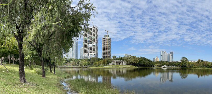 湖景绿地草坪高请全景