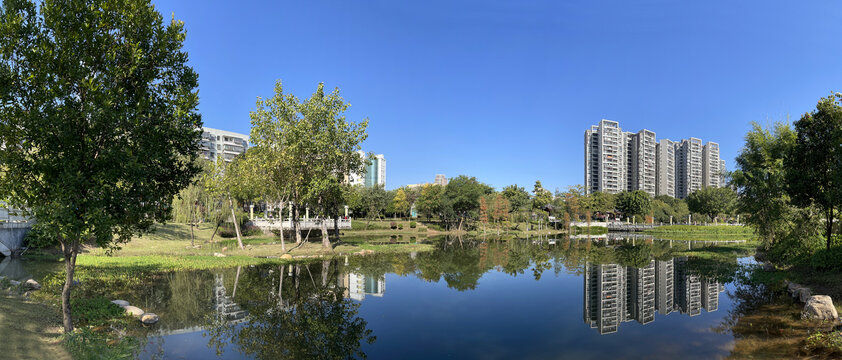 高清城市绿化全景