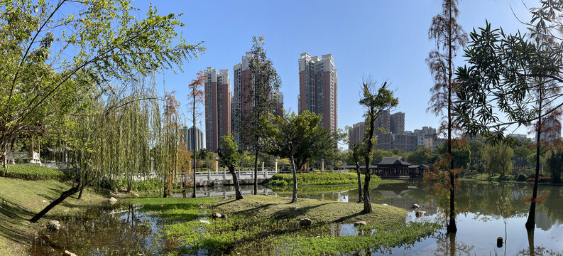 公园人工湖实景