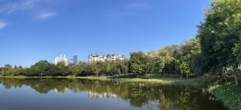 绿色湖岸景色高清全景