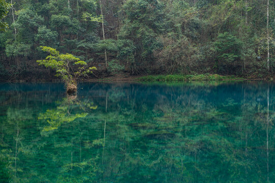 贵州荔波大小七孔景区