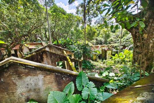 陆川谢鲁山庄谢鲁院