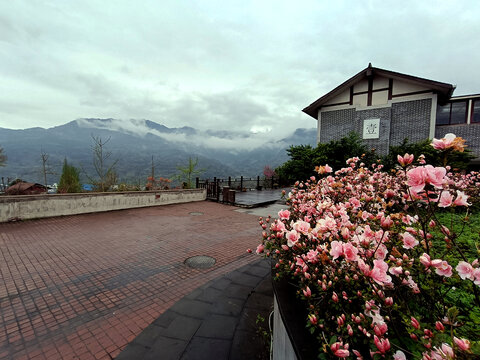 杜鹃花广场