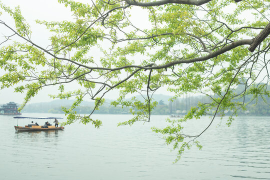 杭州西湖的一处场景
