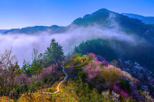 鲜花盛开的地方