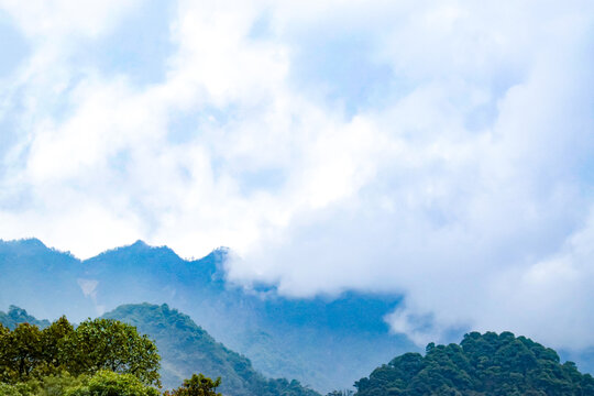 仙山春游