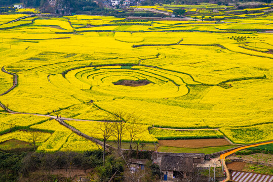 贵州万峰林八卦田