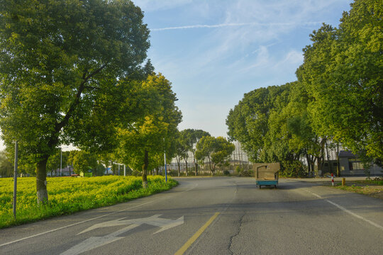 春天道路景观