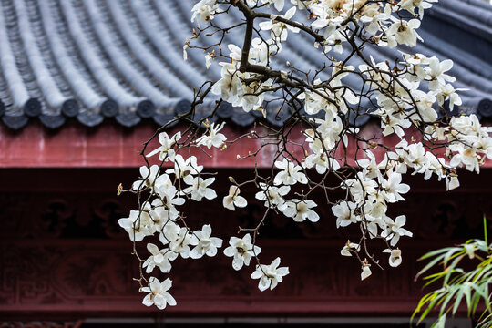 杭州法喜寺