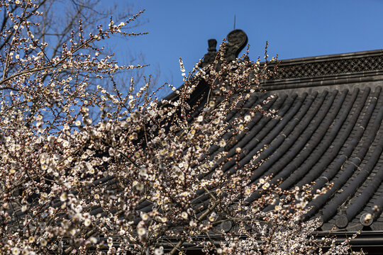 杭州永福寺