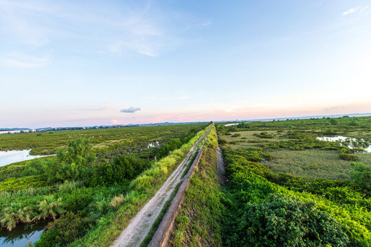 红树林生长基地