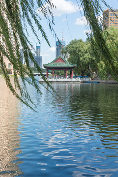 中国沈阳南湖公园风景