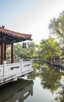 秋天中国辽宁抚顺劳动公园风景