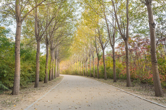 秋天中国辽宁沈阳自然风景