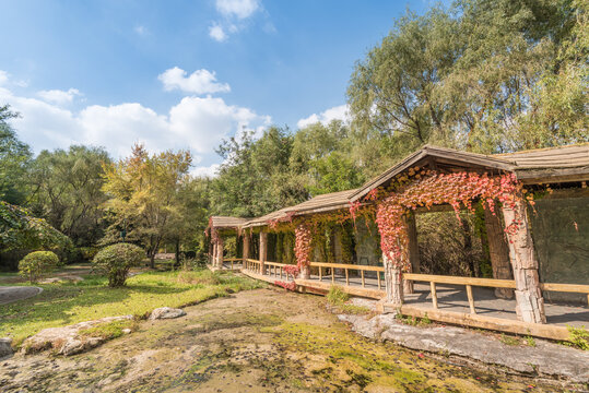 秋天中国辽宁沈阳鸟岛风景区