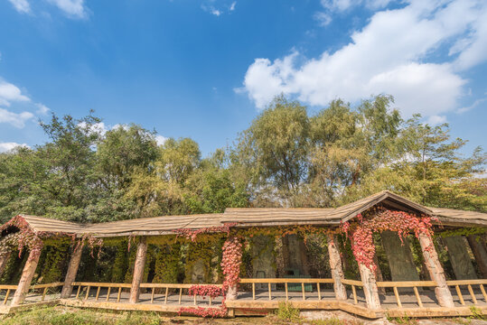 秋天中国辽宁沈阳鸟岛风景区