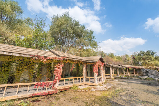 秋天中国辽宁沈阳鸟岛风景区